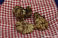 VBS_6491 - Fiera dei Santi - 12.ma Fiera Nazionale del Tartufo